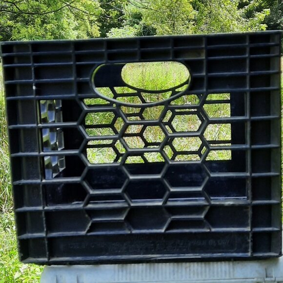 Garelick Farms, Franklin MA Black Plastic Milk Crate Vintage Dairy - Picture 4 of 5